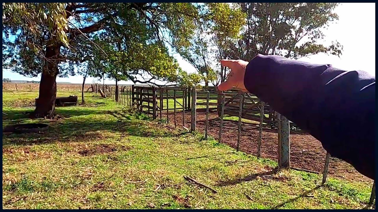 LOS ELECTRICOS ME HACEN RENEGAR EN EL CAMPO