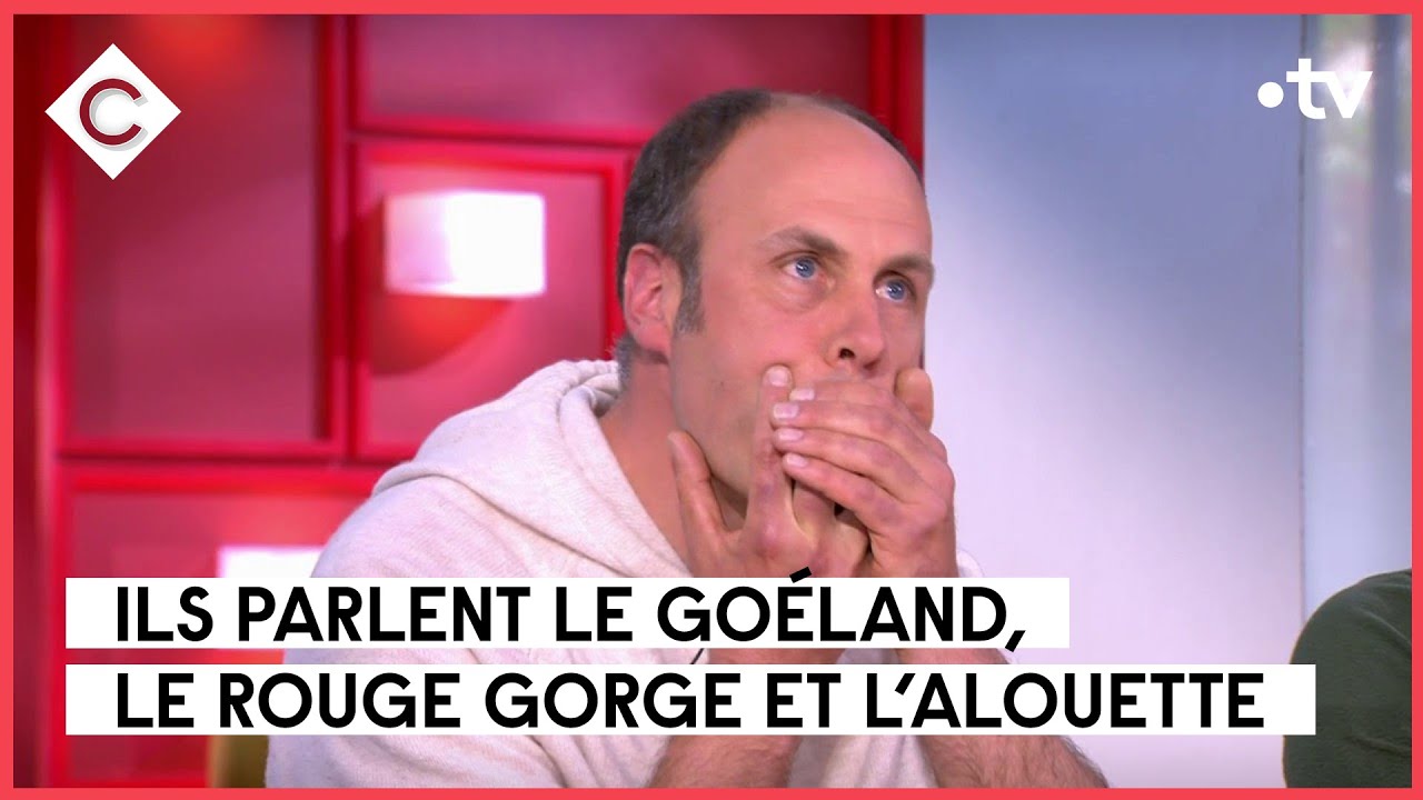 Chanteurs d'oiseaux en spectacle à la table de C à vous - Jean Boucault et Johnny Rasse - 12/05/2023