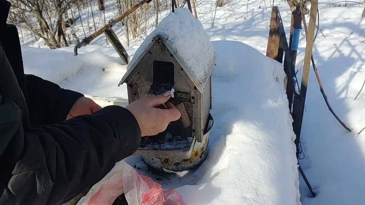 Helping birds in winter. We want them to stay with us all year round.