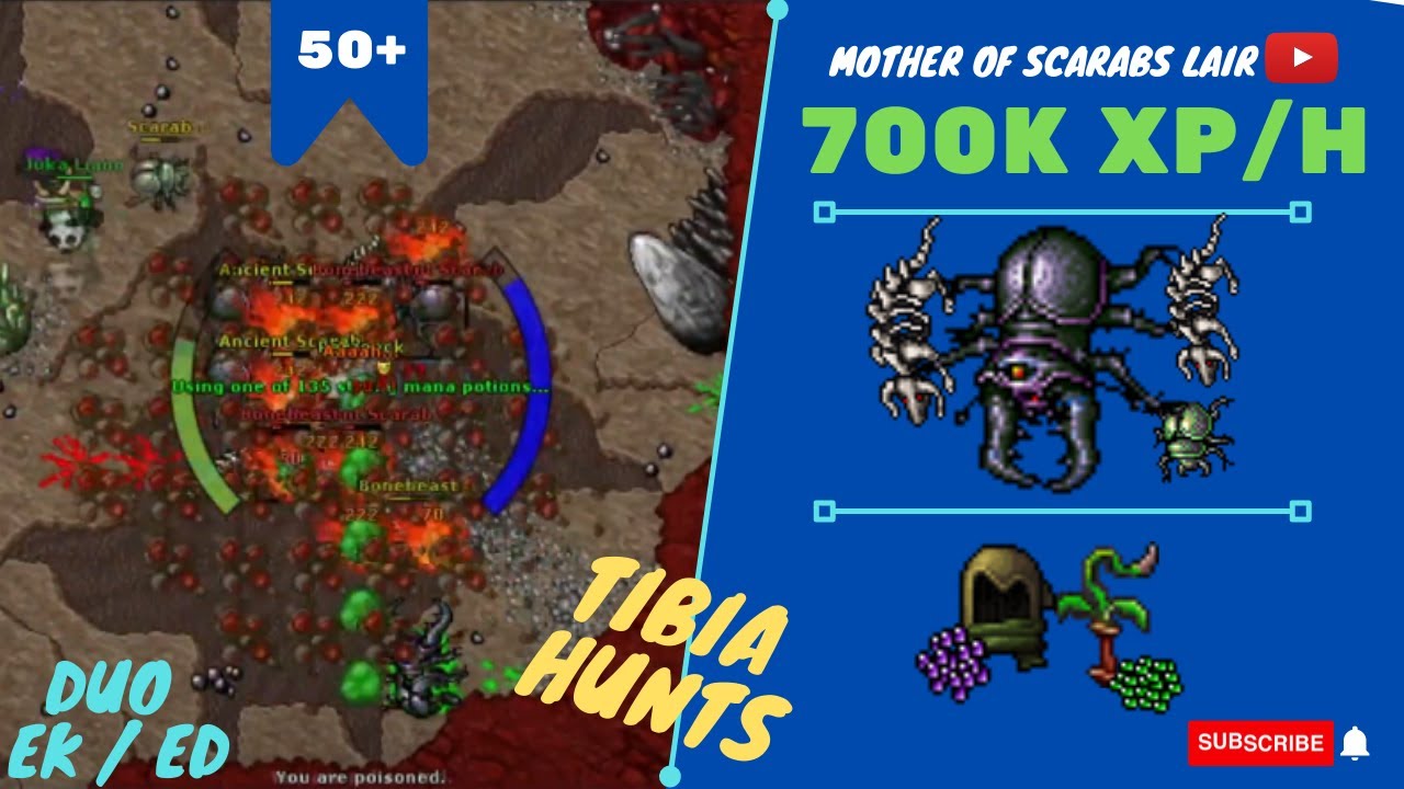 DUO EK/ED lvl 50+ (50 ao 80) 700K XP/H 150% SKILL 67/60 - TIBIA HUNT - Mother of Scarabs Lair