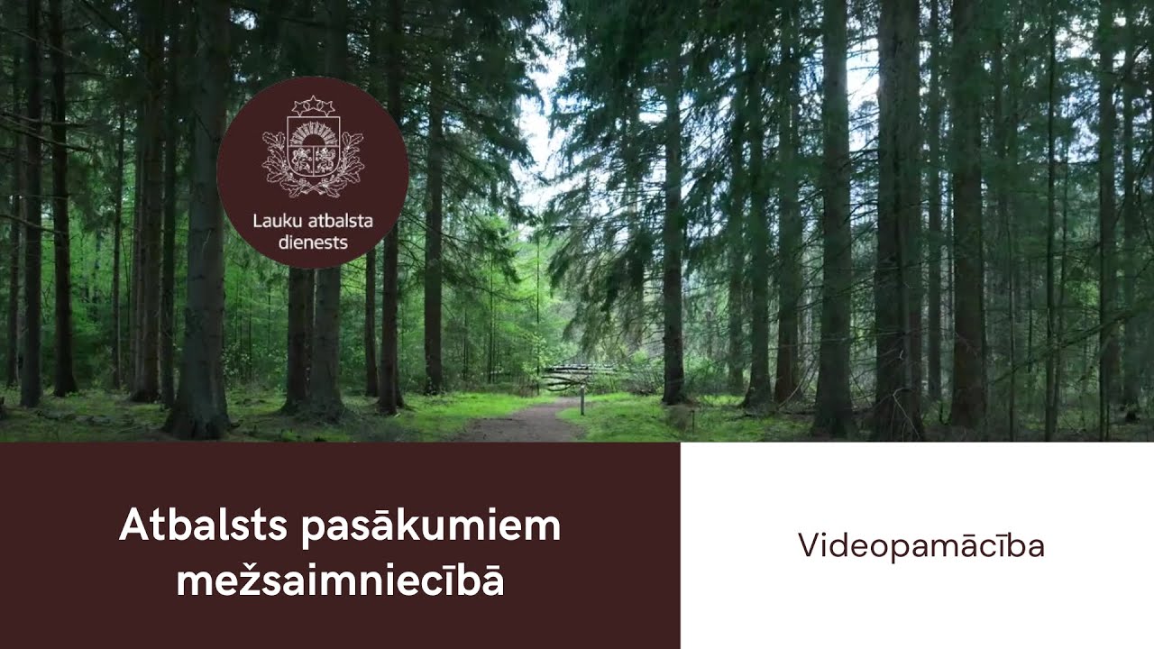 Atbalsts pasākumiem mežsaimniecībā
