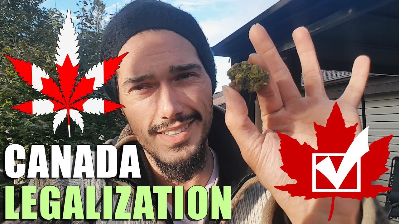 5 Things To Know About Legalization of Weed in Canada 🌿 Cannabis Legal