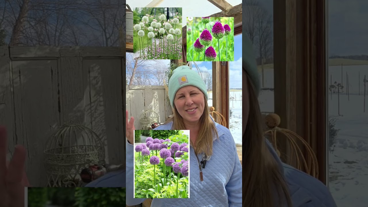 My Top 10 Garden Perennials- From the Greenhouse Feb 13th