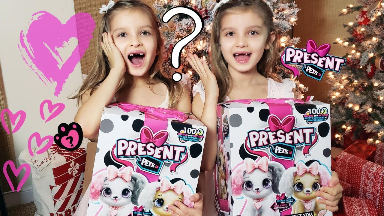 PRESENT PETS UNBOXING EARLY CHRISTMAS SURPRISE
