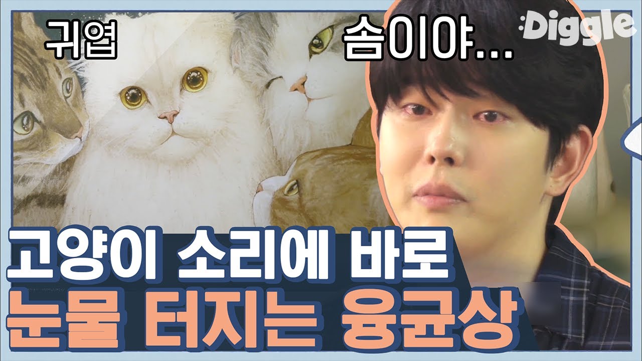 [#신박한정리] 윤균상과 처음으로 이별한 고양이 솜이🐱 내 새끼 아프게만 한 것 같아서,, 슬퍼진 윤균상 한마디로 달래는 박나래 | #Diggle
