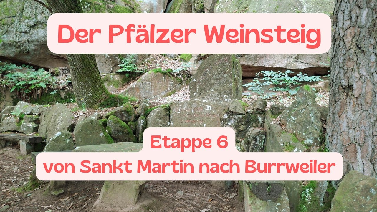 Der Pfälzer Weinsteig | Etappe 06 Sankt Martin - Burrweiler | September 2024