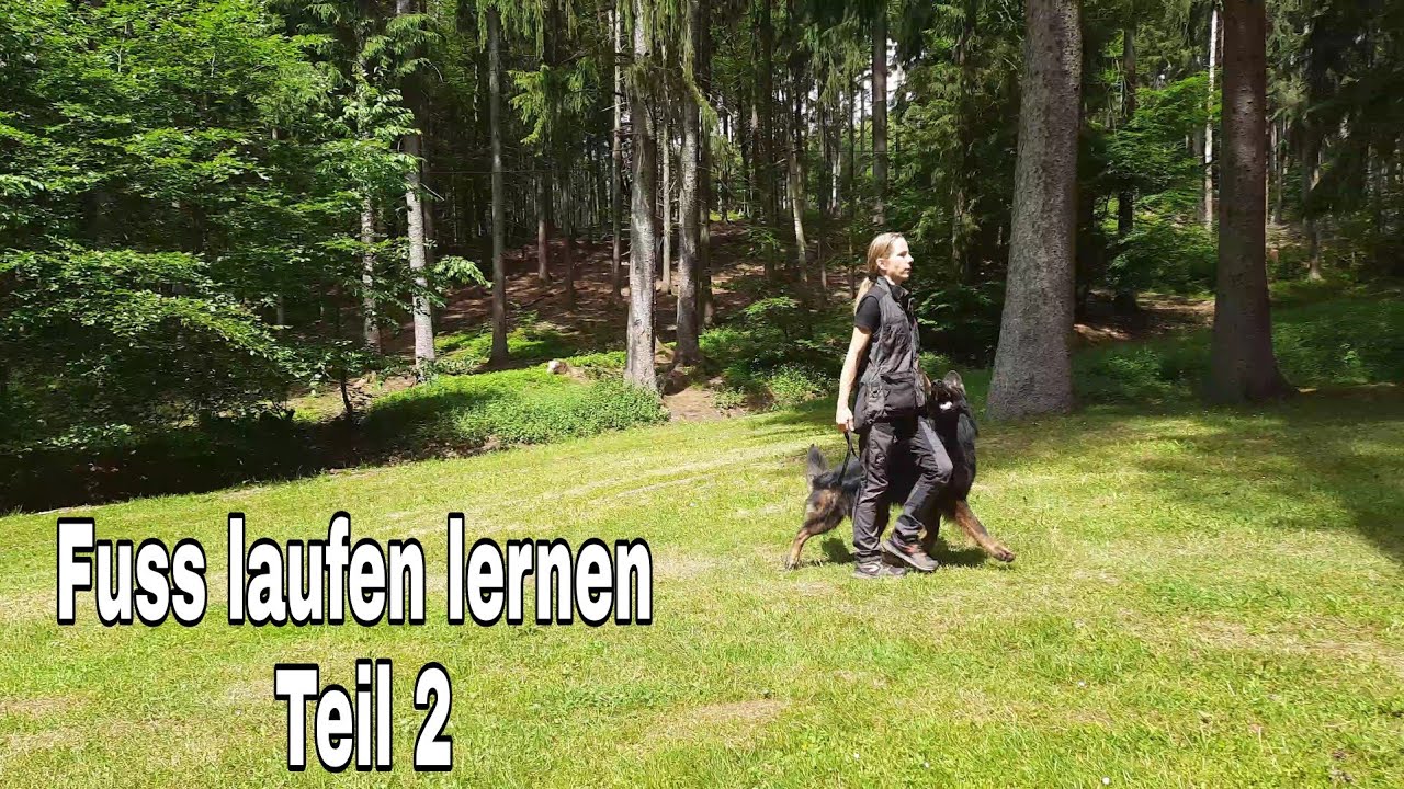 Fussarbeit aufbauen Teil 2, wie ich richtig Fuss laufen lerne