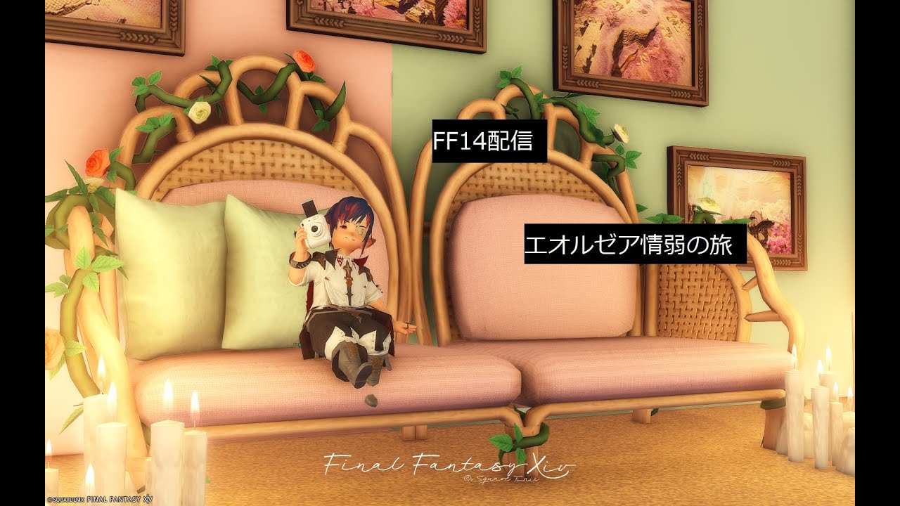 リセ後色々をやるぞ～　エオルゼア情弱の旅【FF14】
