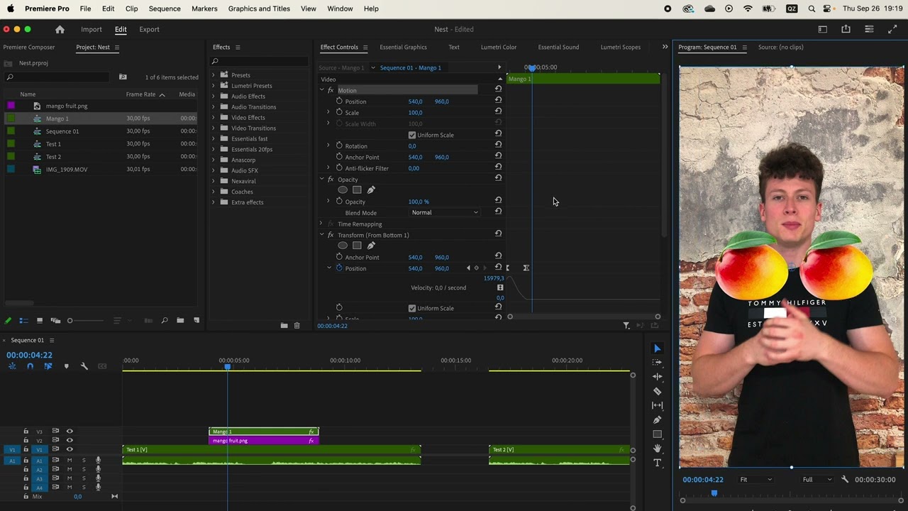 Die Funktion zum Verschachteln in PREMIERE PRO