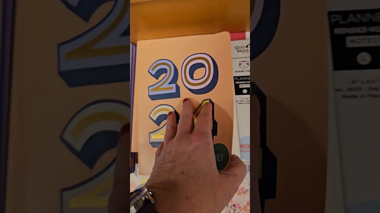 2024 Daily One Page A Day Planner Flip Through #daily #2024 #whatheidisees #planner #flipthrough