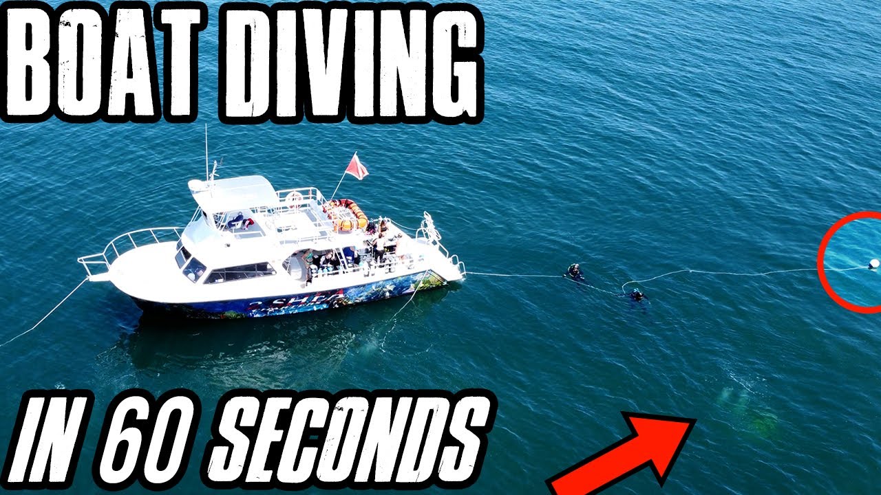 How to scuba dive on a Dive Charter Boat (easily) | 1 minute diving breakdown video | Down to 60