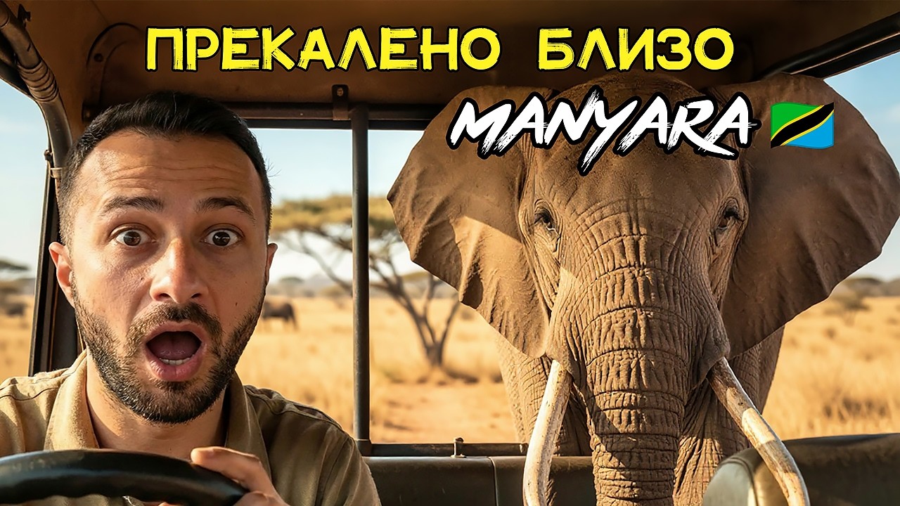 САФАРИ В МАНЯРА🇹🇿 ПРЕКАЛЕНО БЛИЗО ДО ДИВОТО…🐘