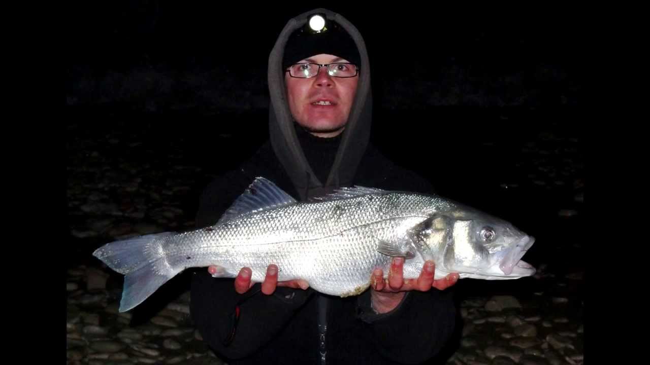 Surfcasting dans l'Ile de Ré