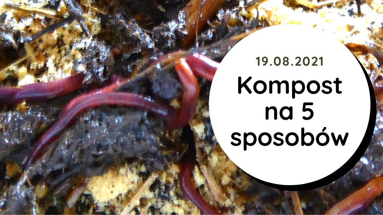 DIY-👍Kompostowanie na 5 sposobów👍Grządki kompostowe, pryzma kompostowa, kompostownik domowy, kompost