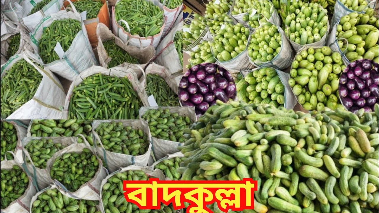 হাটে চারিদিকেই প্রচুর পরিমাণ শশা বেগুন আর ভেন্ডির আমদানি দামও অনেক সস্তা। Wholesale Vegetable Market