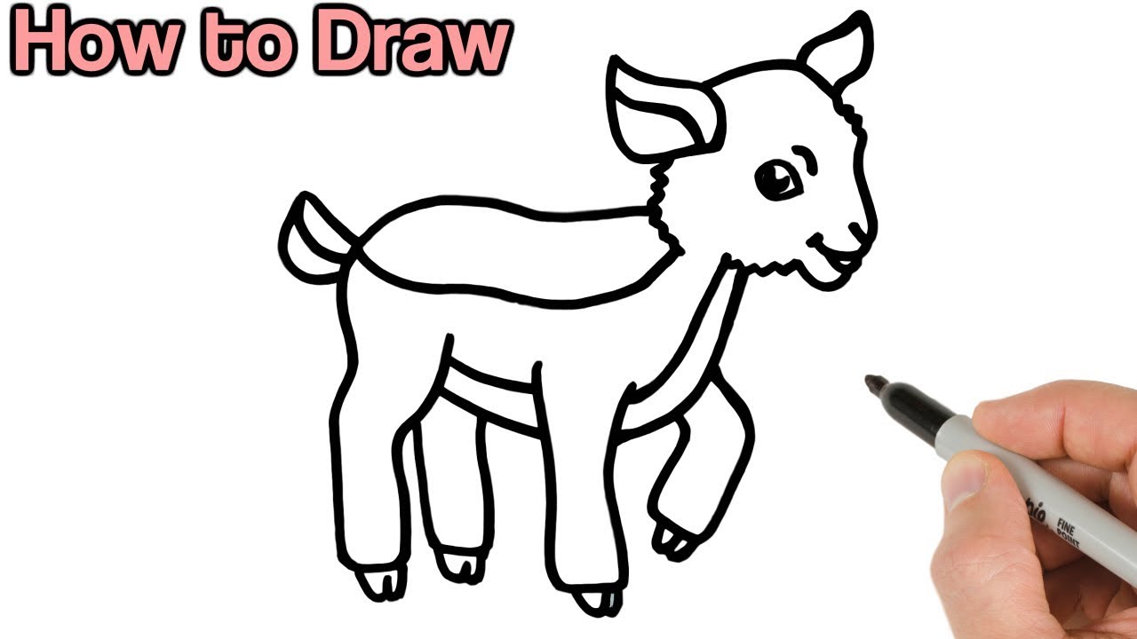 How to Draw a Goat Kid | Cute baby animals drawings for beginners