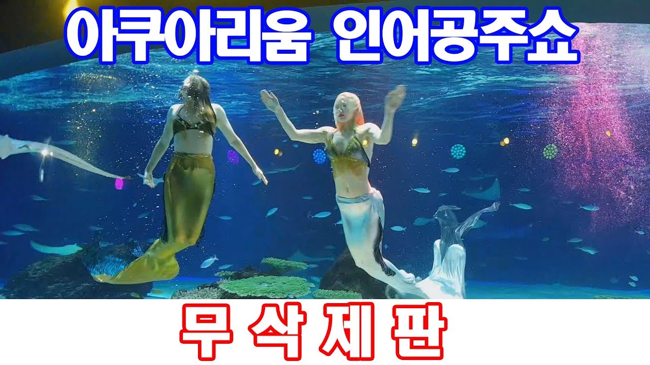 63빌딩 아쿠아리움 수족관 인어공주쇼(머메이드쇼) 무삭제판! 한화 아쿠아플라넷63 [아담스패밀리]