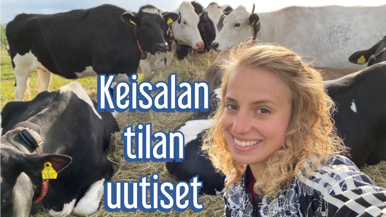 Keisalan tilan uutiset 5