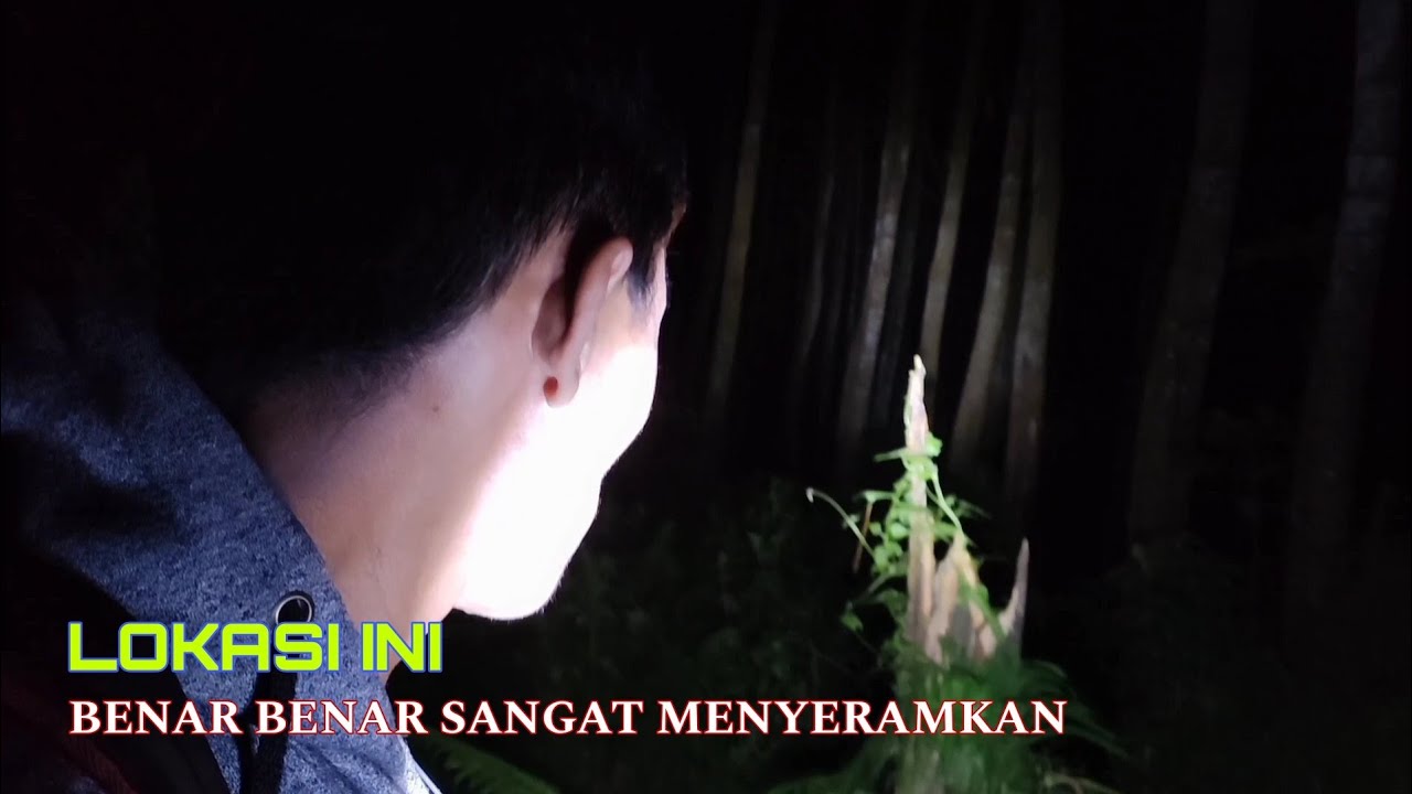 Keliling Hutan_Ke Tempat Angker!! Dan Rasanya Gak Kuat Jalan
