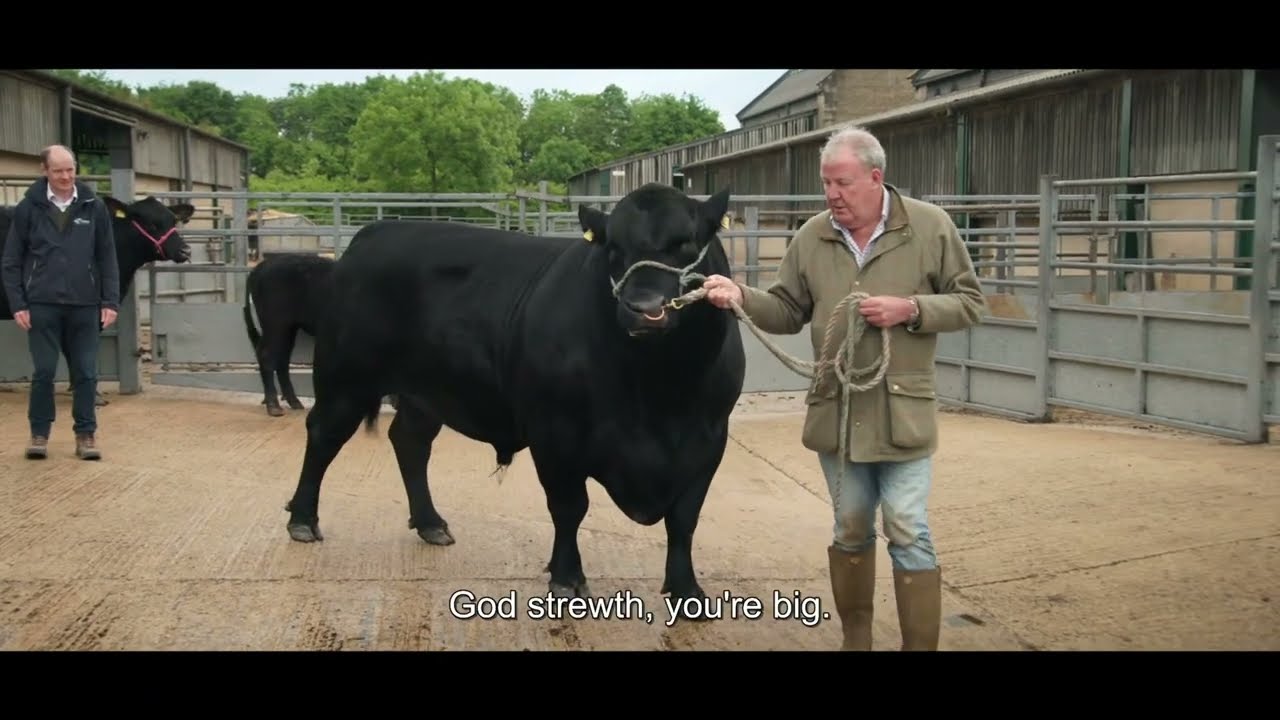 Clarkson's Farm - Jeremy Meets a Bull