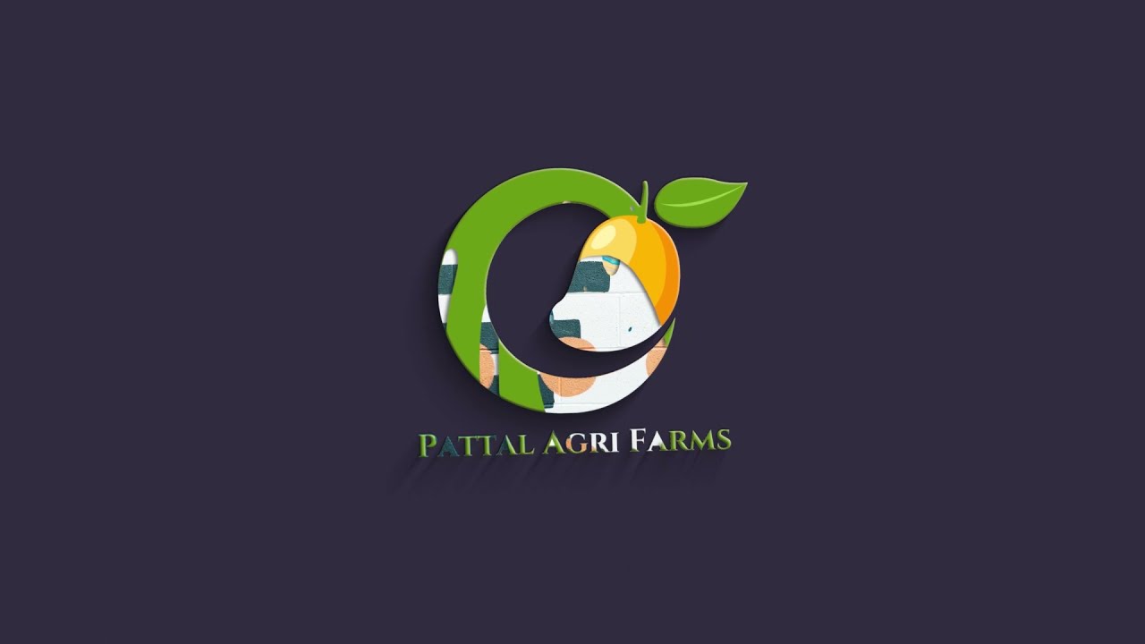 Best Fresh Farm Mangoes for booking online in 2021 - Pattal Agri Farm