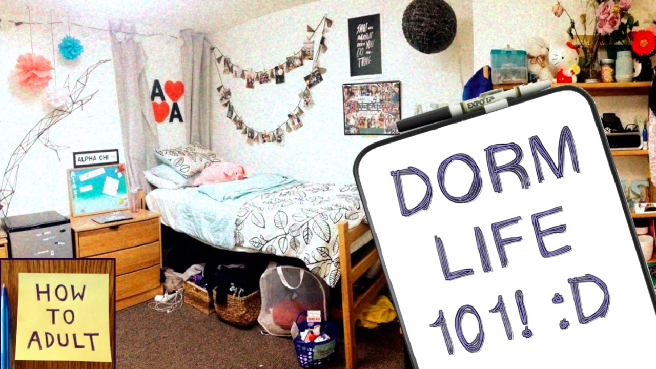 Dorm Life Essentials: What to Pack for College Dorms!