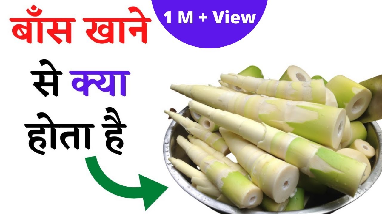 बांस खाने के फायदे | Health Benefits of Bamboo Shoots | Health Fitness Tips In Hindi | The Jalebi