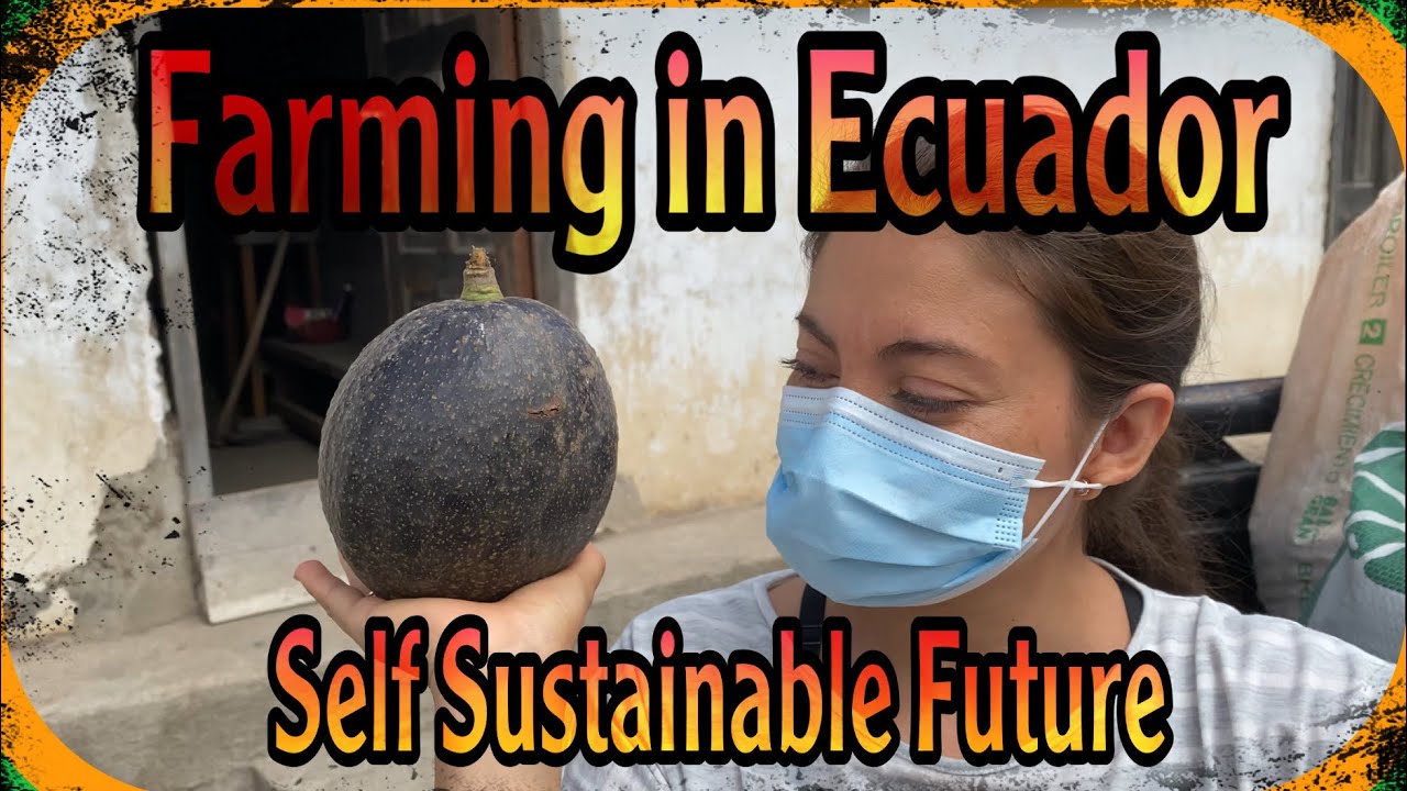 The Farm in Ecuador - High Elevation Tropical Farming and Our Self Sufficient Future
