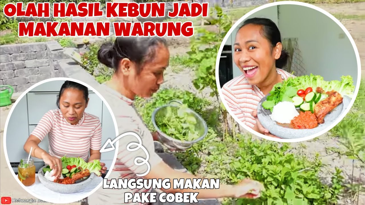 PANEN SAYUR DI KEBUNKU BUAT MAKAN SIANG ALA WARUNG