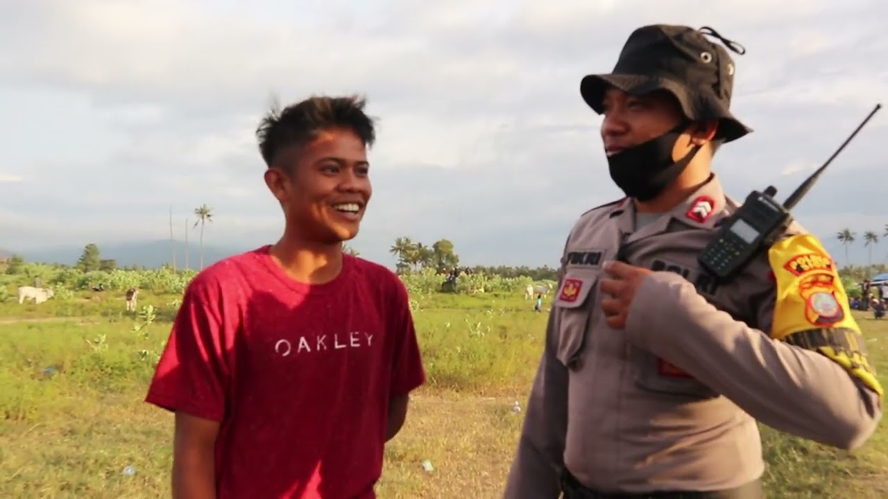 Pacuan Sapi