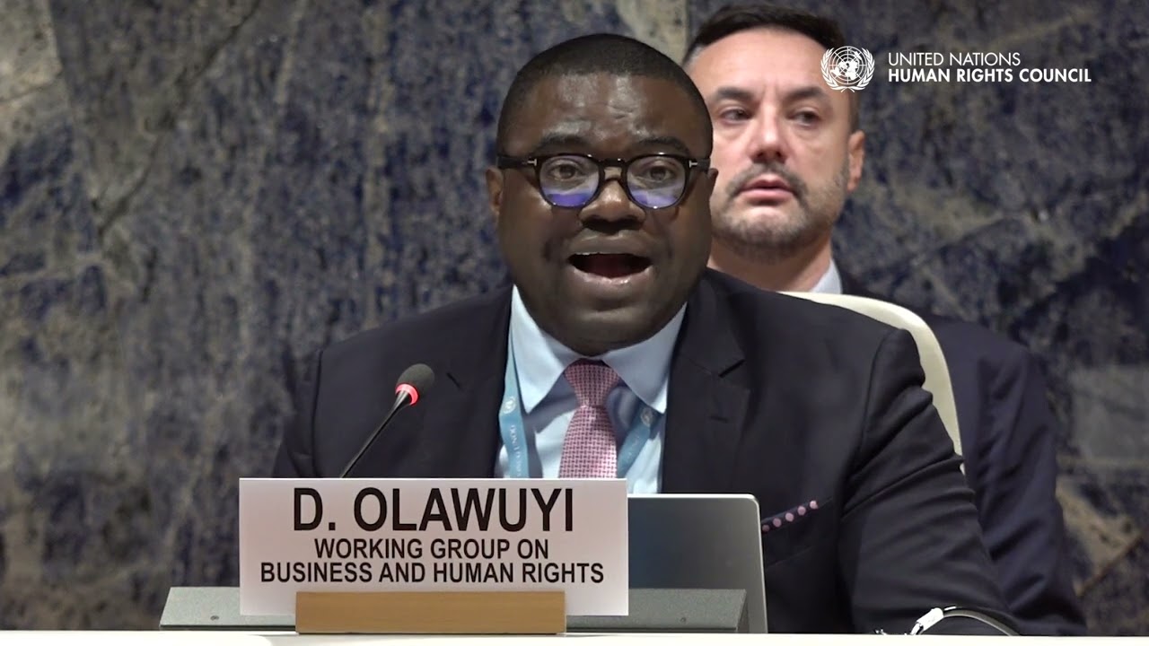Many business enterprises still fail to respect human rights, expert Damilola Olawuyi says