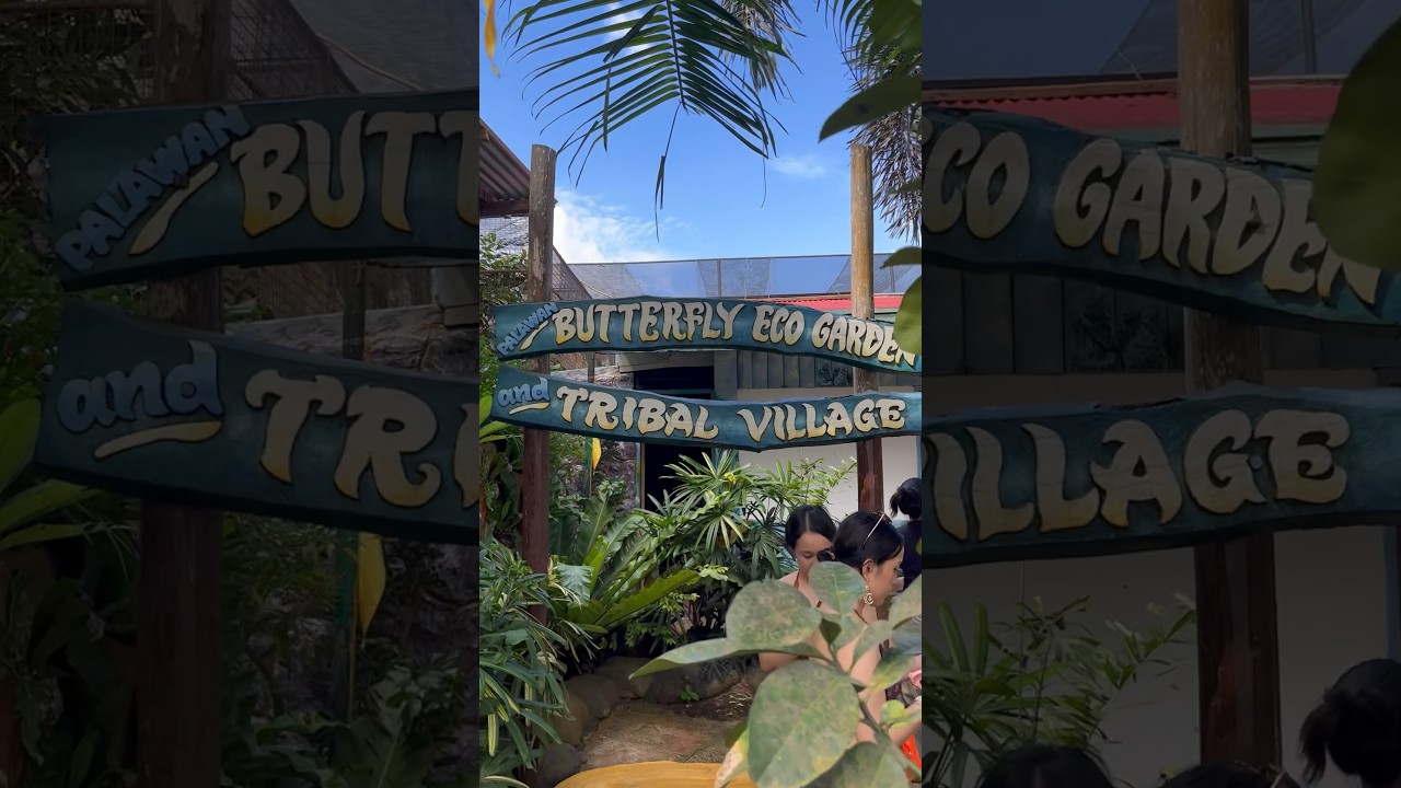 Palawan Butterfly Eco Garden and Tribal Village