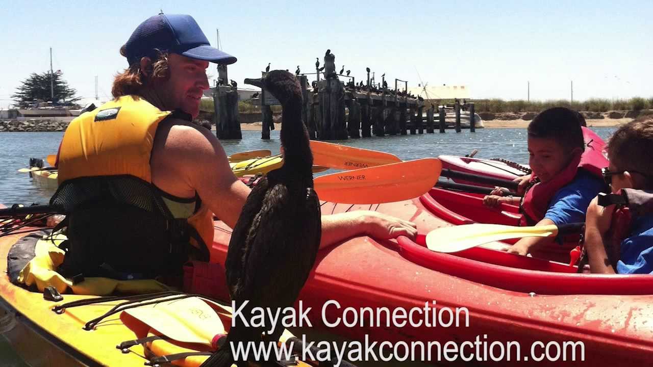Kayak Connection Sponsors Your Sanctuary TV