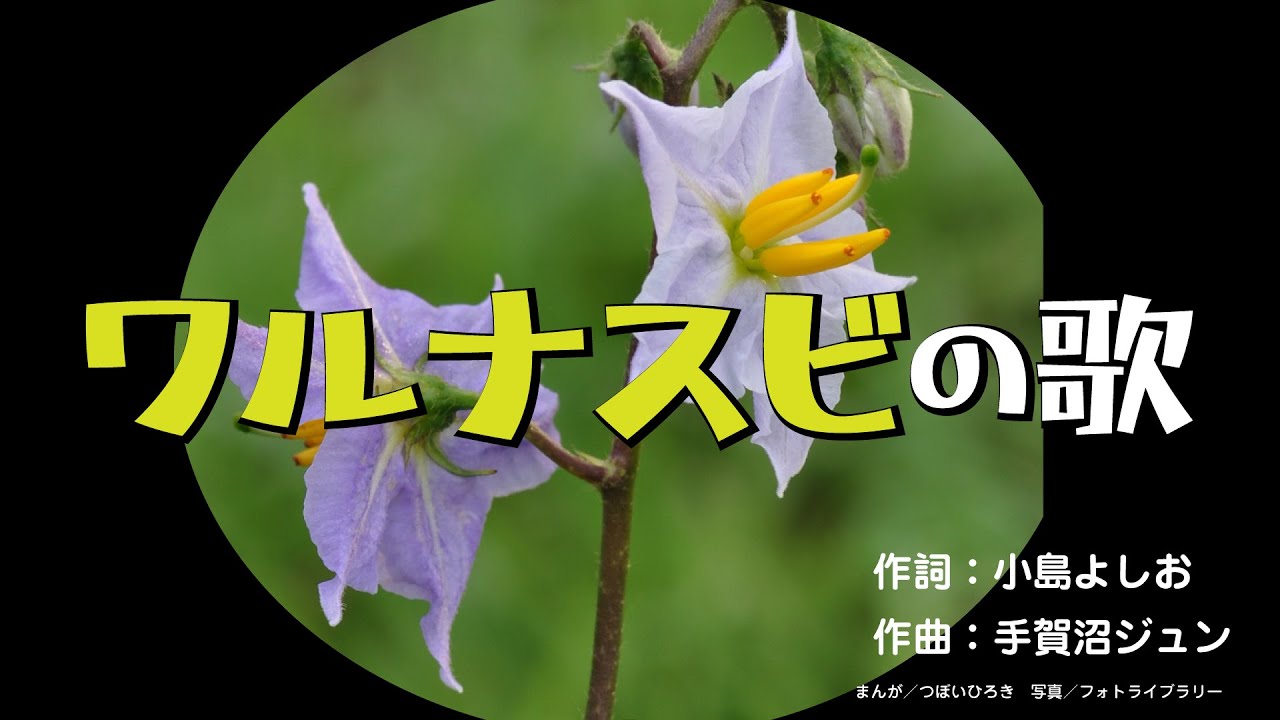 ワルナスビの歌