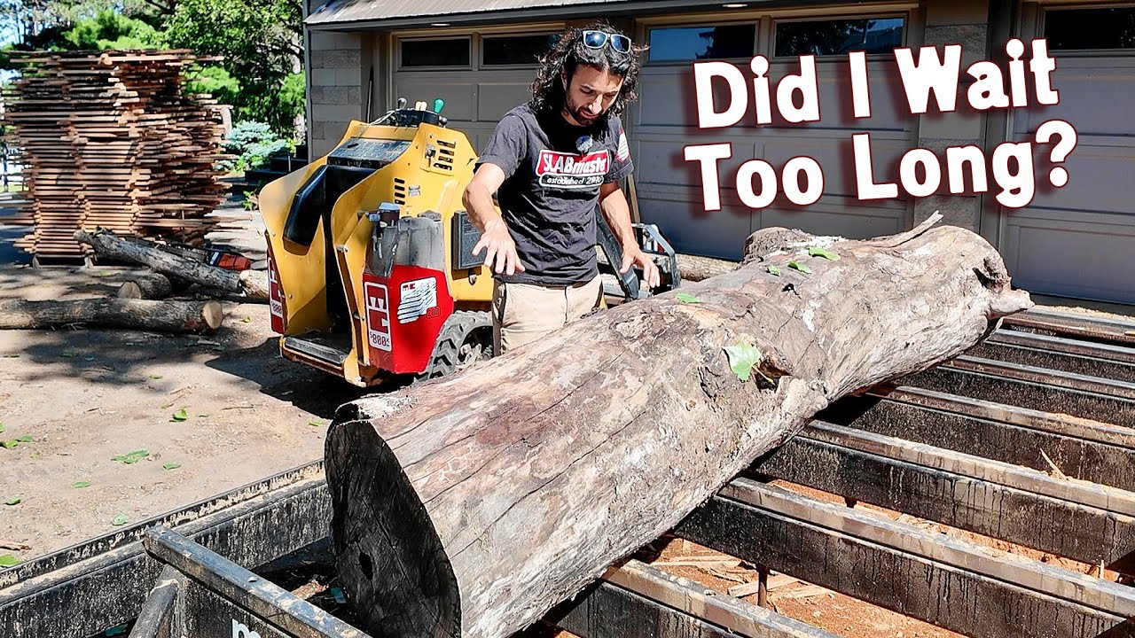 Sawing the Last Log from the Derecho Cherry Tree