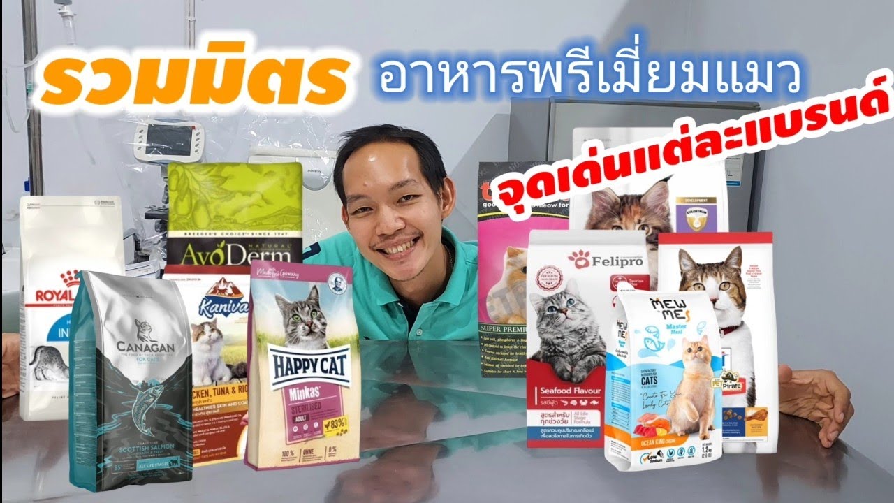 จุดเด่นอาหารเกรดพรีเมี่ยมแมว@หมอดี๊ด๊า