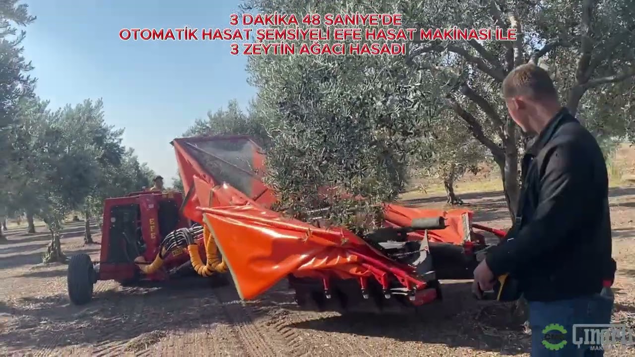 3DAKİKA 48SANİYEDE MEYVE TUTMA PLATFORMU - TERS ŞEMSİYE TİP - EFE HASAT MAKİNASI İLE 3 ZEYTİN AĞACI
