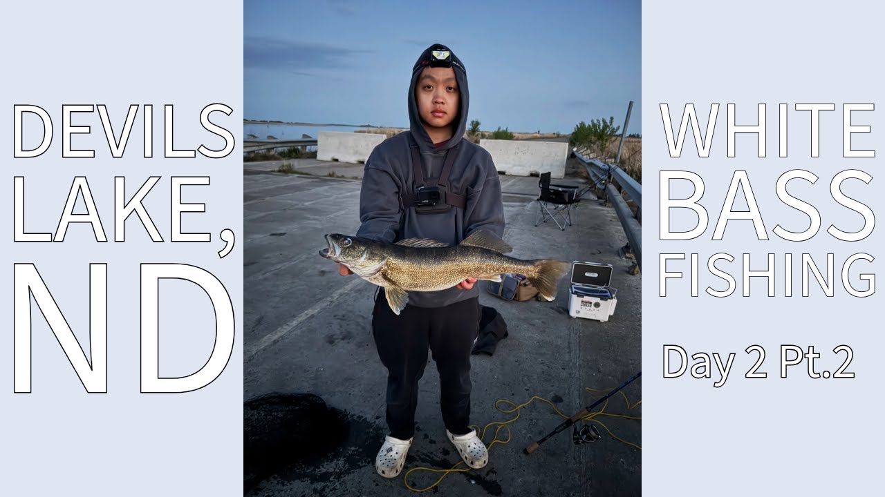 GIANT walleye?!?! White Bass Fishing Devils Lake, ND