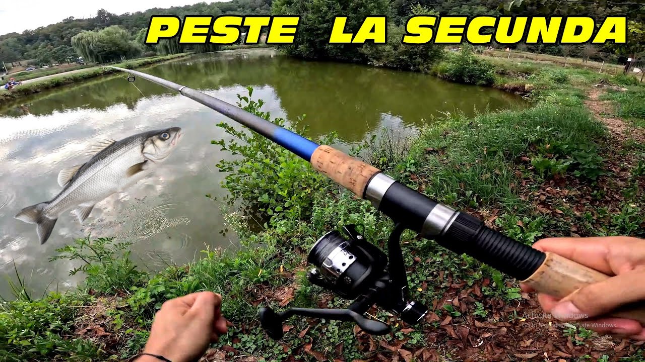 Am prins PEȘTELE într-o secundă 🎣