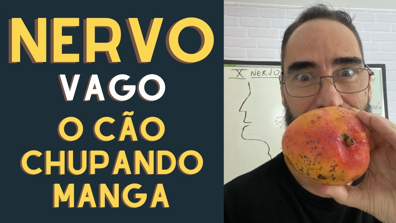 NERVO VAGO/NERVO CRANIANO - O C&Atilde;O CHUPANDO MANGA!