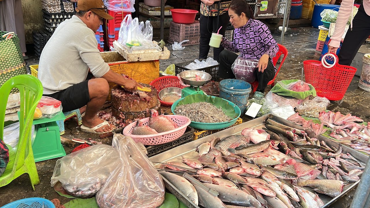 Best Fresh Market Compilation - A Wonderful Cambodian Food Show, Cheap Breakfast, Lunch, Dinner 