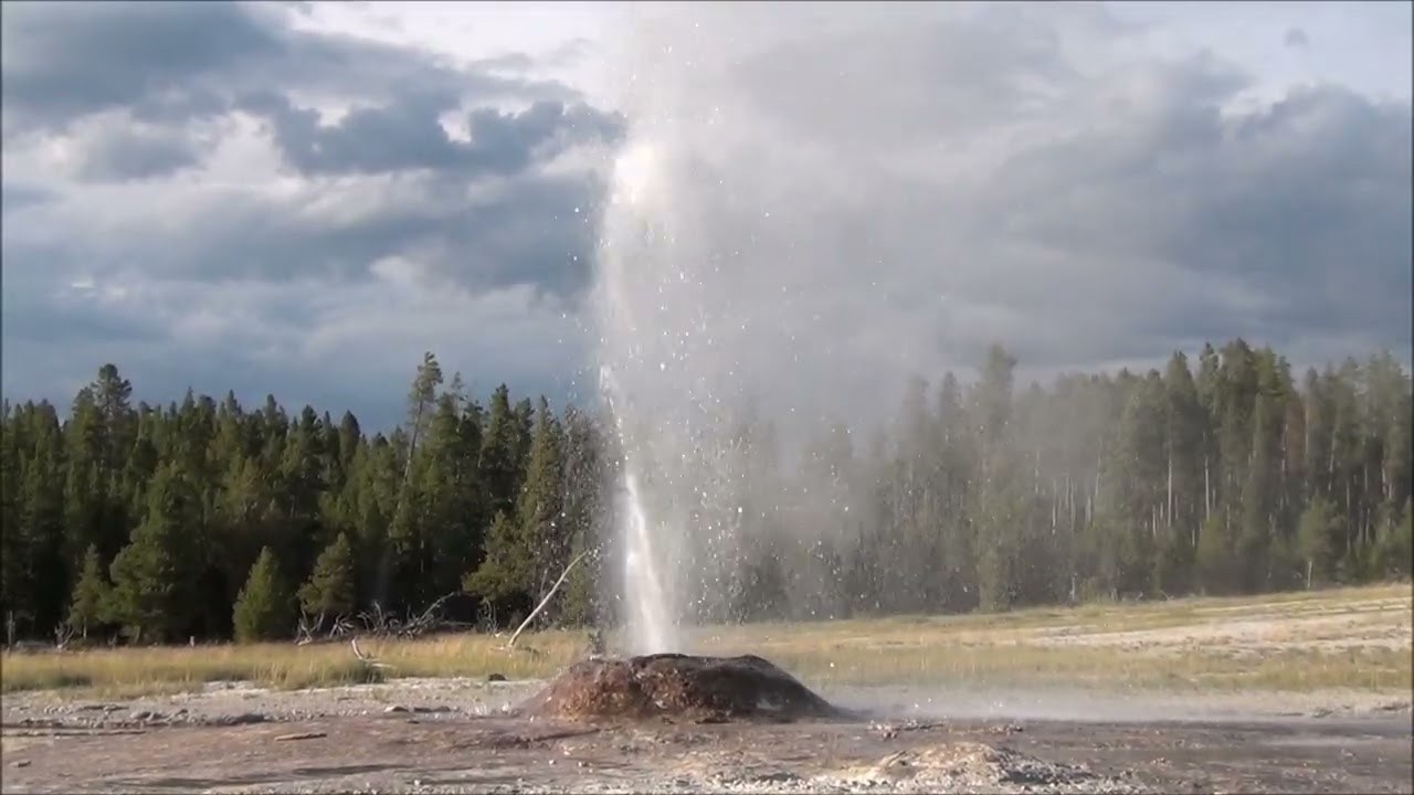 Pink Cone Geyser (3 August 2025)