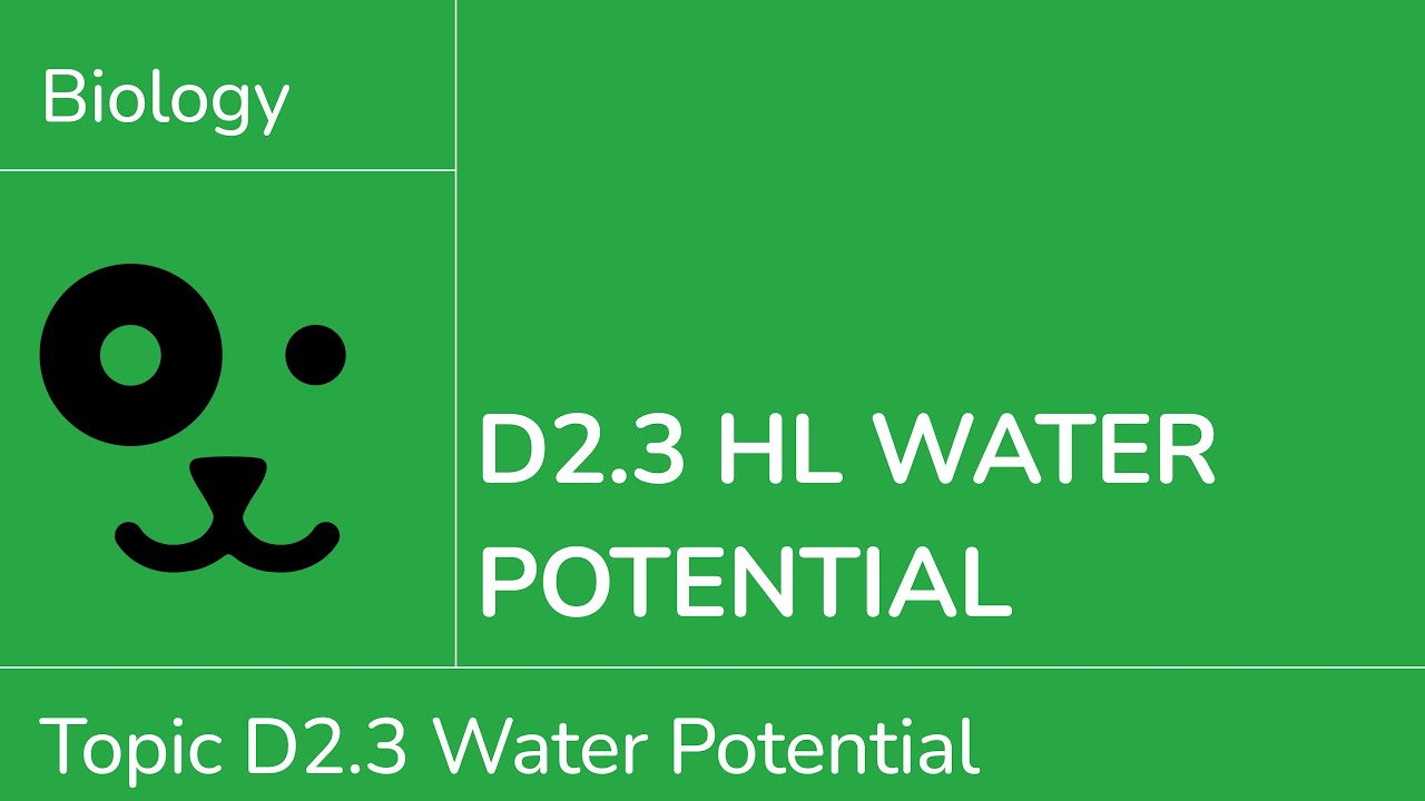 D2.3 HL Water Potential [IB Biology HL]