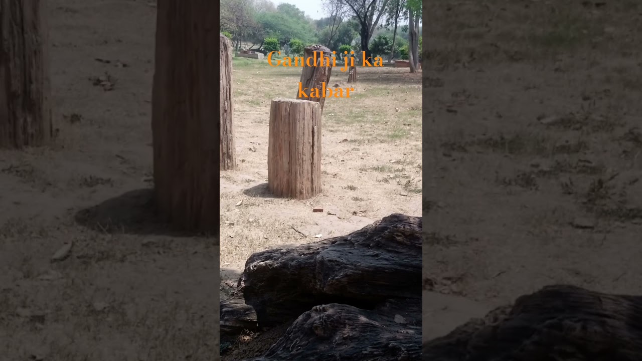Gandhi ji ka  kabar # Delhi me hai#vidyaSumit.com#vidya#Sumit#vlog #video#viral