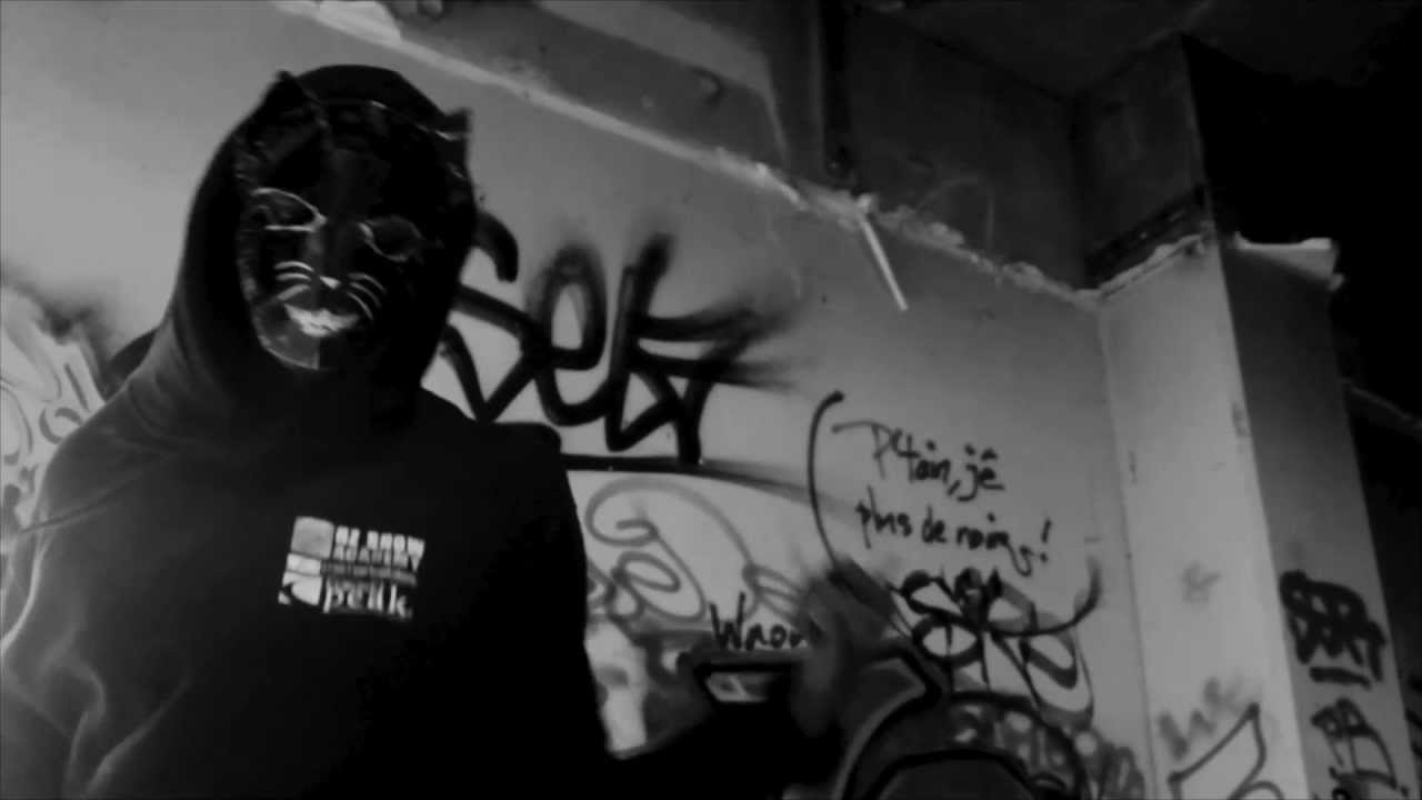 Cat Rats - Skrillex (Fan Made Video)