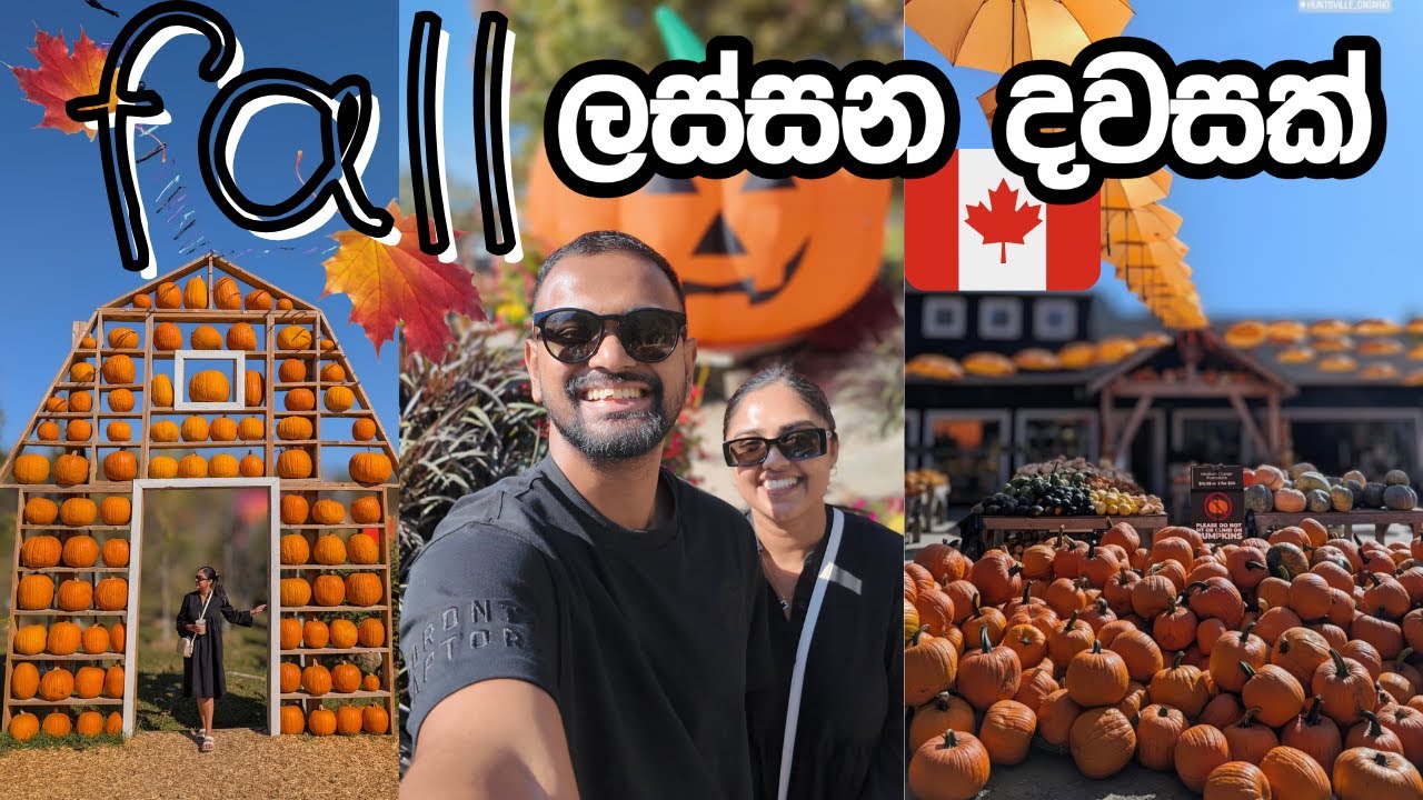 Canada ලස්සන දවසක් | Pumpkins & Fall Leaves  | Life Sri Lankan | Huntsville #canada #sinhala