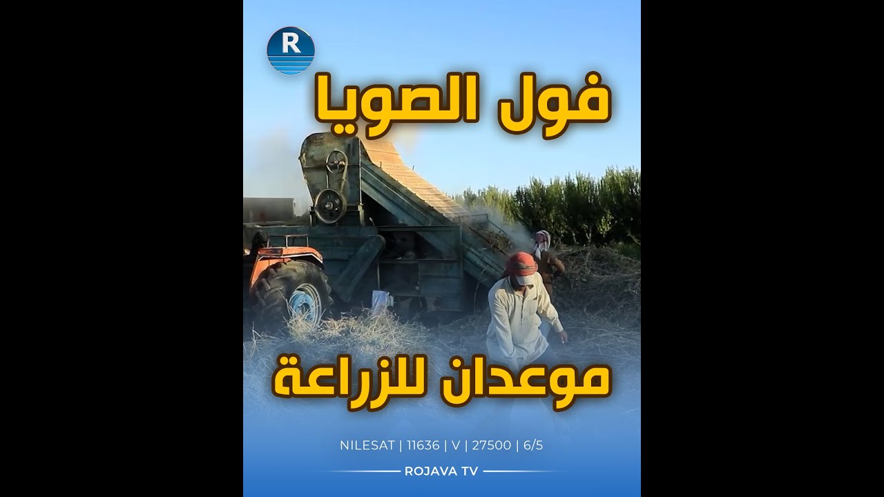 موعدان لزراعة فول الصويا أحدهما يعطي نتائج أفضل