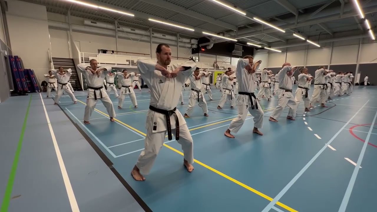 Wadokai Seminar in Leusden, Netherlands (2024)