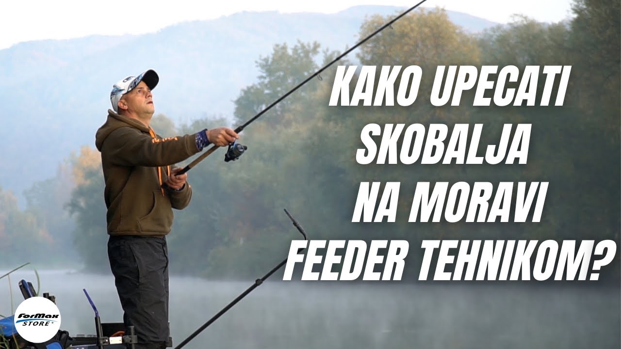 Feeder ribolov skobalja na Moravi - UŽIVO SA VODE
