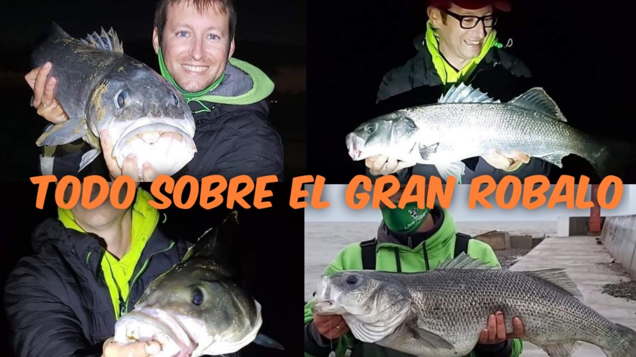 ‼️COMO PESCAR GRANDES ROBALOS A SURFCASTING‼️